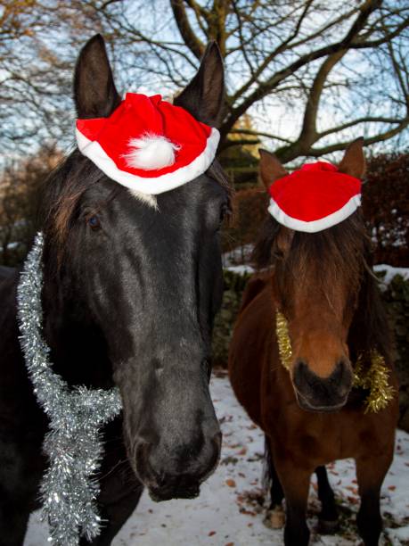 istock Santa Horse Buddies. 1450076376