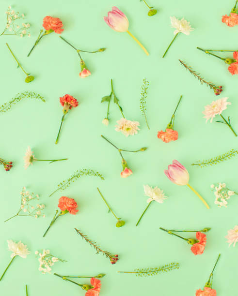 istock Flowers arrangement on a pastel green background 1450078606