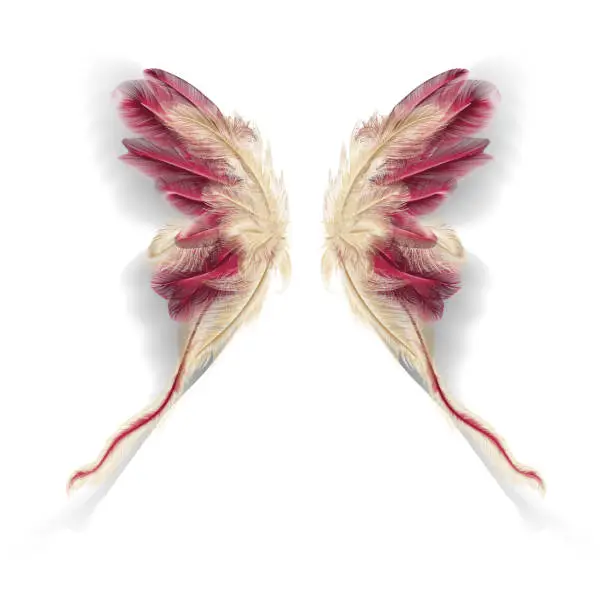 Vector illustration of Butterfly wings with feathers. Modern abstract art Gold and Viva Magenta colors feather. Vector illustration.