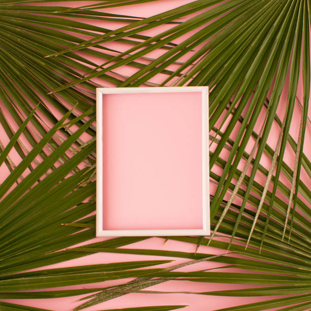 istock White picture frame with empty space above palm leaves on pink background 1450083857