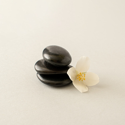 White flower jasmine and black stones on grey background.  Spa relax concept,  zen-like stones concept