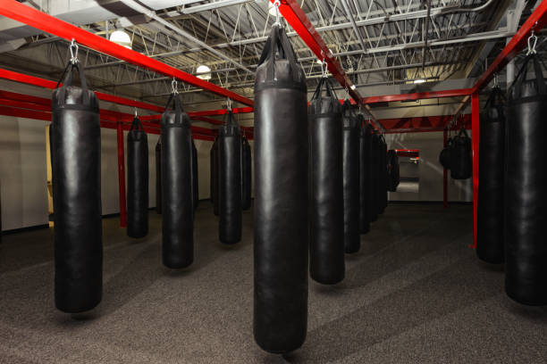 istock Combat Sports Gym Facility 1450085659