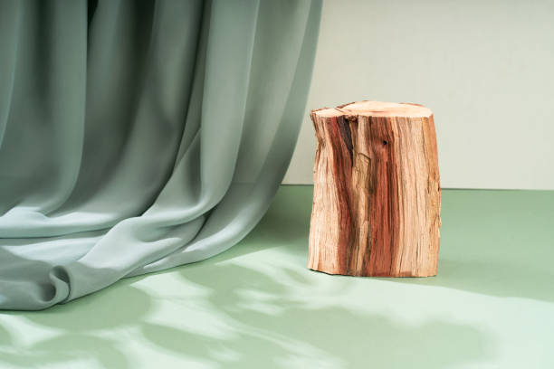 istock Composition empty podium material tree stone dry flowers. Beautiful green background made of natural materials for product presentation 1450094027