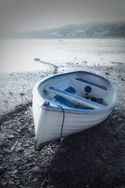istock Vertical shot of a boat at the shore 1450098329