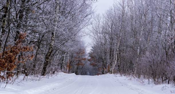 istock Snow-covered road surrounded by frozen trees in winter, Minnesota 1450105997