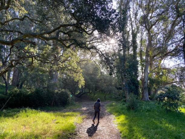 A man walking through trees during early spring morning in Golden Gate Park with sun shining on him.