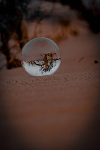 istock Lens ball on the sands 1450106210