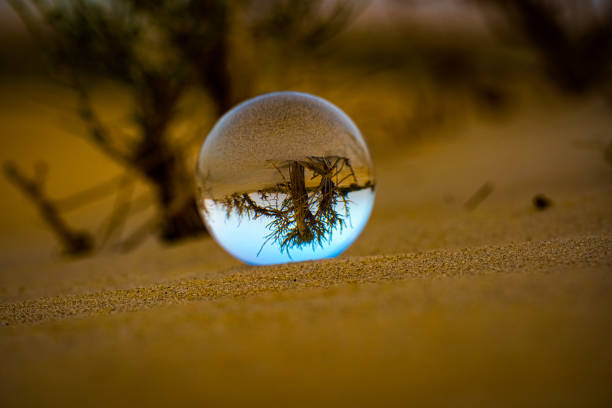 istock Lens ball on the sands 1450106220