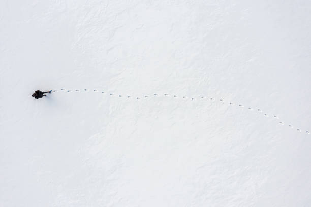 une femme marche dans la neige fraîche en laissant des empreintes de pas, une vue aérienne supérieure, une activité de plein air hivernale - winter cold footpath footprint photos et images de collection