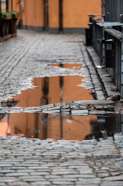 istock Cobblestone - old street in Riga. A view just after rain. 1450109774