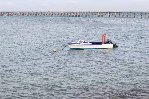 istock White paint motor boat and blue paint inside with nobody inside floating at the sea. 1450110187