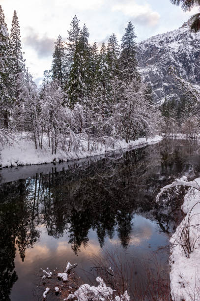 istock Yosemite Valley along the Merced River 1450112022