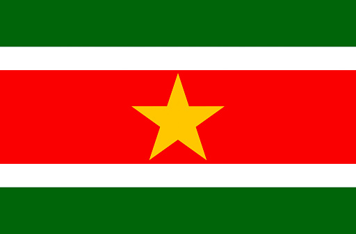 National flag of the Republic Suriname.
