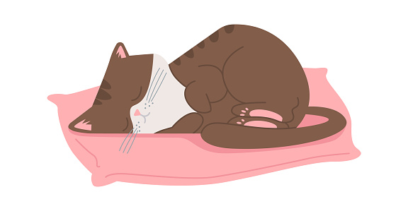 Sleeping cat. Cute Animal Pet. Vector illustration