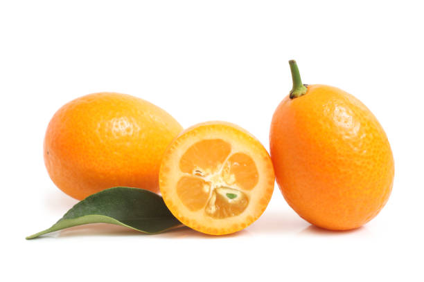 кумкват с листьями - kumquat sour taste citrus fruit fruit стоковые фото и изображения