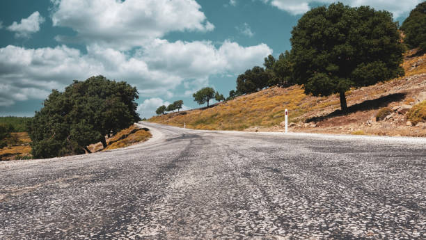 vista del cielo, los árboles, los maquis y las nubes a lo largo de una carretera asfaltada desgastada en una ciudad del egeo - country road lane road dirt road fotografías e imágenes de stock