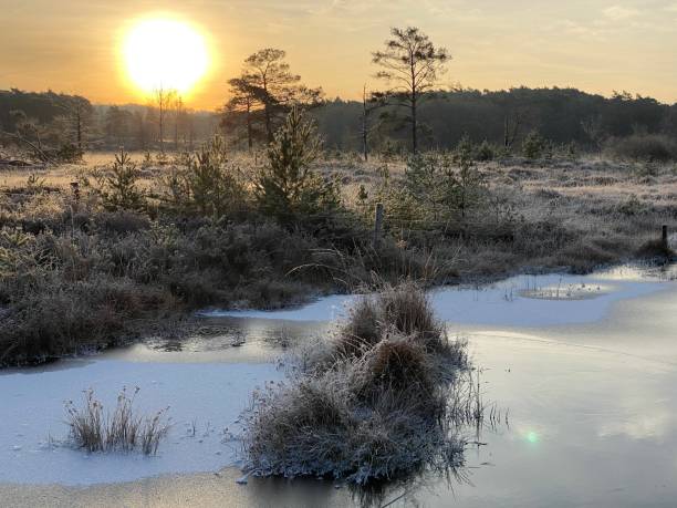 istock Winter sunrise over the frozen brook 1450117685