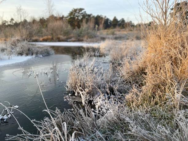 istock Winter sunrise over the frozen brook 1450117711