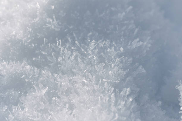 istock Winter background with sunlight on snow crystals and snowflakes 1450119237