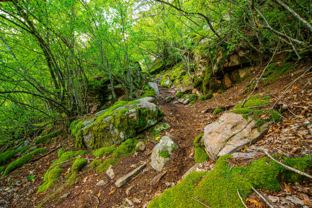 istock Balkan mountain landscape of Eastern Serbia 1450121138