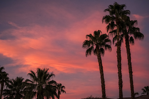 Palm Springs Sunset.