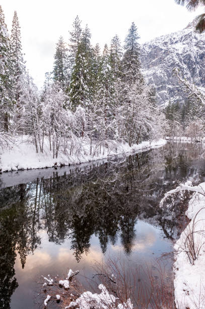 istock Yosemite Valley along the Merced River 1450123460
