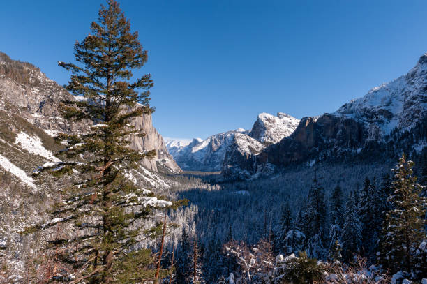istock Yosemite valley from Tunnel view 1450123489