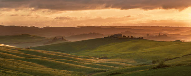 istock Vineyard in foggy hills 1450123580