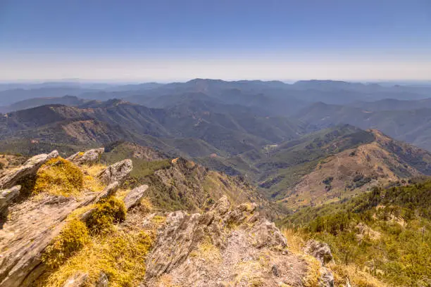 Photo of Sunny day over rocks and forest on Mont Aigoual