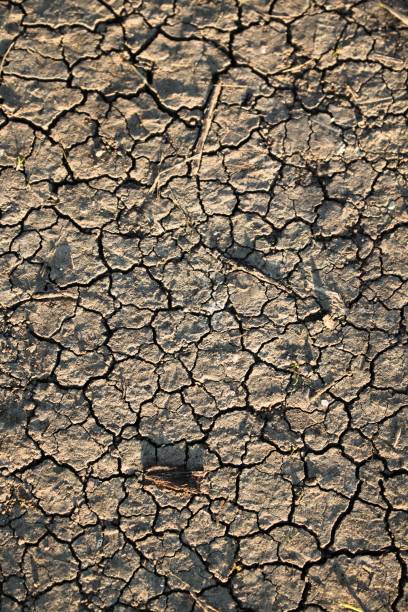 istock Vertical shot of cracked ground, cool for texture 1450126488