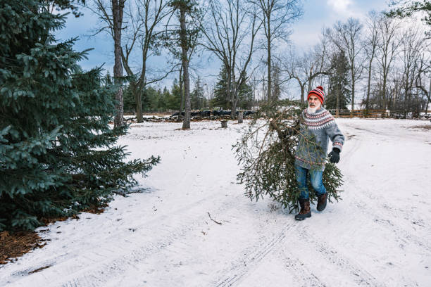 istock Mature man with beard carrying  Christmas tree outdoors 1450130528