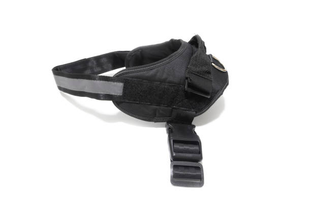istock Dog harness. Isolated on white background. 1450132000