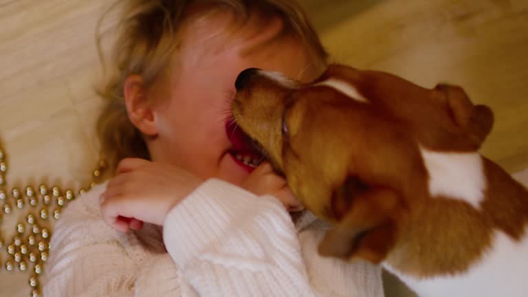 Cute dog licks a happy child lying on the floor on Christmas eve