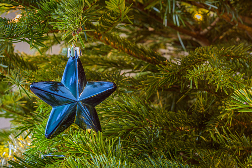blue Christmas star as decoration in a Christmas tree