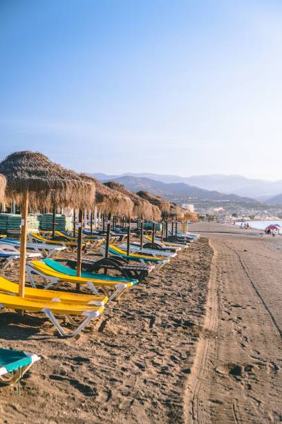 istock Vertical shot of umbrellas and sunbeds on a sandy beach 1450157492