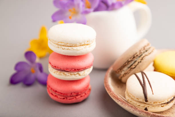 istock Multicolored macaroons with spring snowdrop crocus flowers and cup of coffee on gray pastel background. side view, close up, selective focus. 1450157849