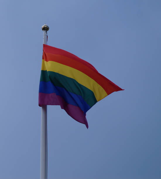 istock Low angle view of rainbow flag against clear blue sky 1450162643