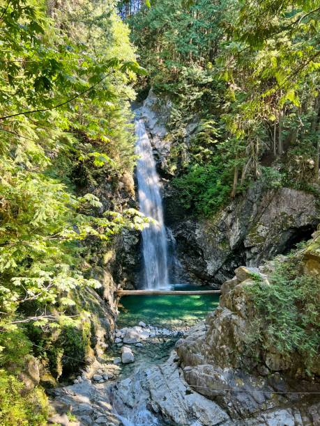 istock Beautiful view of a waterfall flowing into river in a forest 1450166740