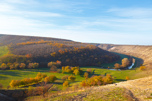 Rolling Landscape with Hills and Forest . Awesome nature view from above