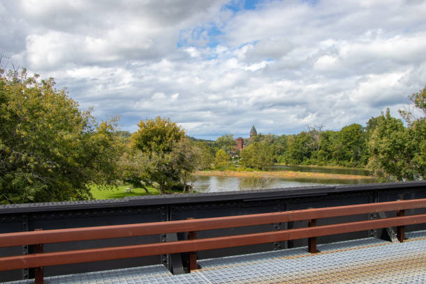 View from a bridge of a river and trees