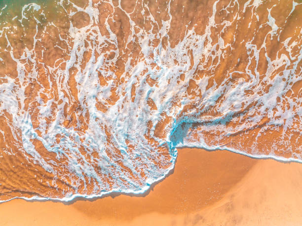 istock Ocean waves breaking on white sand beach with turquoise emerald coloured water 1450174392