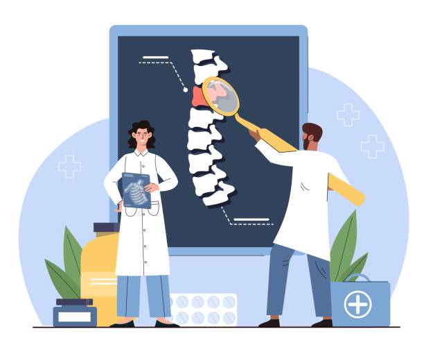 척추가있는 의사 - orthopedic equipment osteoporosis x ray human spine stock illustrations