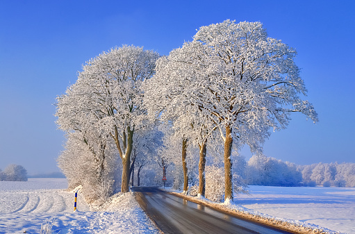 View of a snow-covered country road in winter with sunshine and blue sky