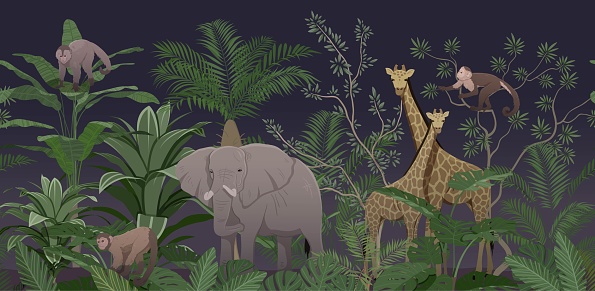 Night jungle concept. Giraffes, elephants and monkeys in trees and bushes, African savannah. Tropic and exotic, flora and fauna, wild life. Poster or banner for site. Cartoon flat vector illustration