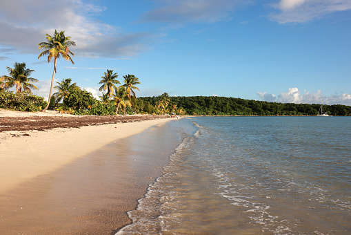 Sun Bay Beach is one of the many world-class beaches with few people on the island of Vieques, Puerto Rico