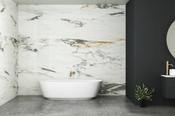 istock Modern minimalist bathroom interior, modern bathroom cabinet, double sink, interior plants, bathroom accessories, bathtub and toilet, black and marble walls. 3d rendering 1450184804