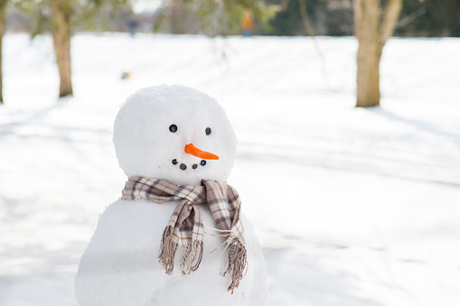 A cute snowman with button eyes, a carrot nose and a brown and white plaid scarf has been built by children in a forest lined public park out of the fresh white snow.