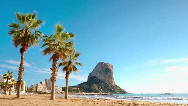 Calpe, mountain, beach and palm tree- alicante province in Spain