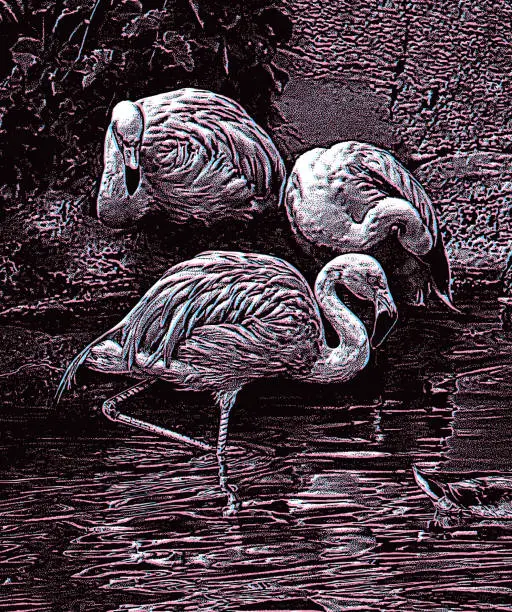 Vector illustration of Pink Flamingos with Glitch Technique