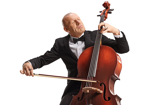 Male artist in a bow tie sitting and playing a cello isolated on white background